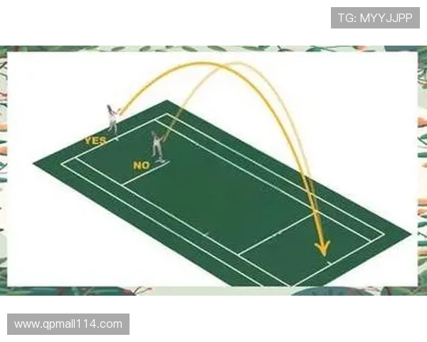 从零基础到网球高手：全面掌握网球力量训练的实用指南